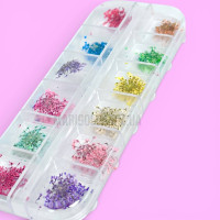 Сухоцвіти в контейнері набір 12 шт